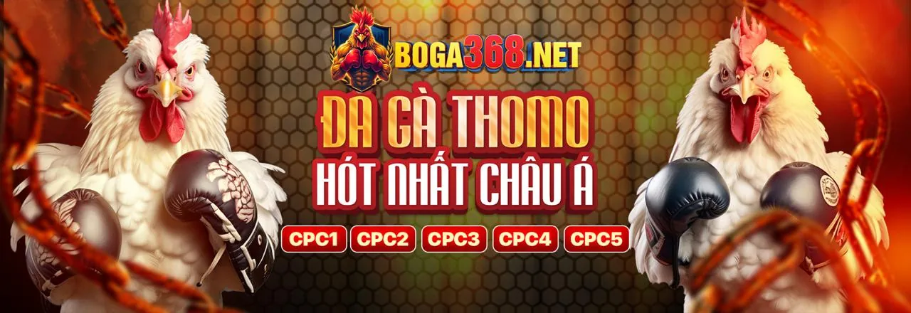 Đá gà trực tuyến 999bet.win
